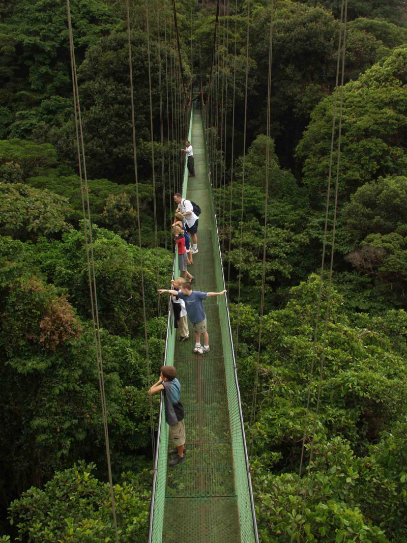 Hanging Bridges/ Volcano Hike/ Waterfall (Arenal) image 2
