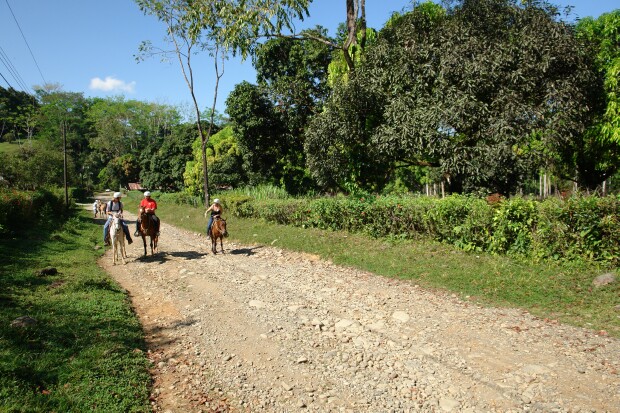 Product Horseback Riding From Jaco