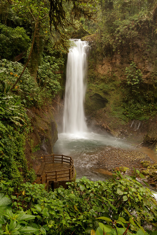 La Paz Waterfall Gardens (San Jose) image 1