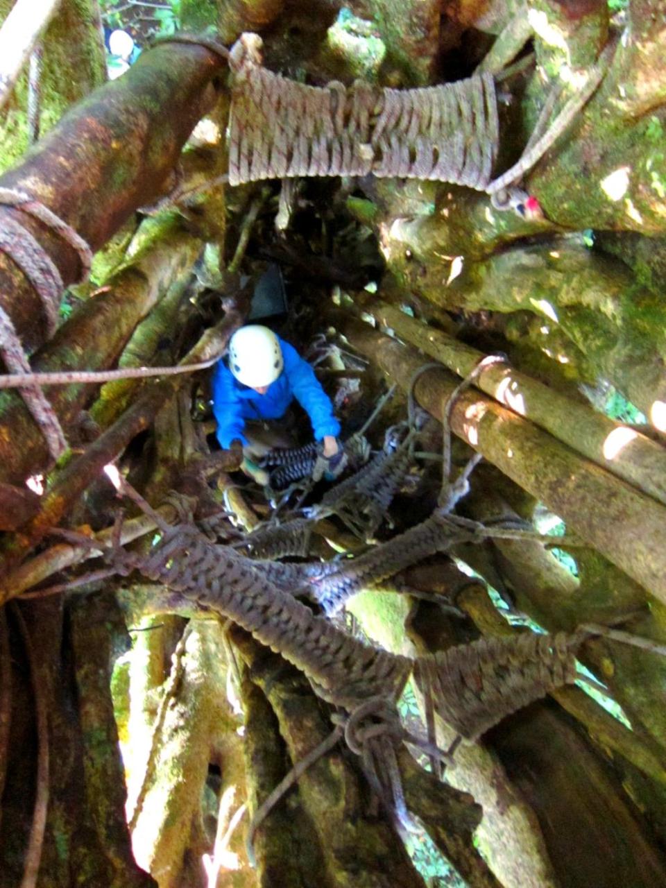 Product The Original Canopy Tour (Monteverde)