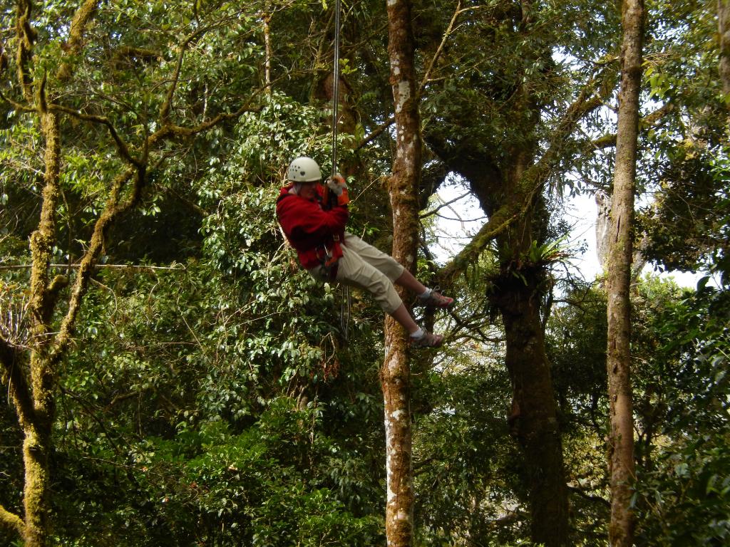 Product Canopy Tour Zone 1N (Guanacaste)